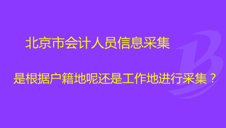 北京市會計人員信息采集是根據戶籍地呢還是工作地進行采集?